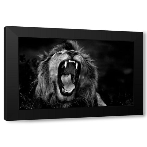 Untitled Black Modern Wood Framed Art Print by Damico, Giuseppe