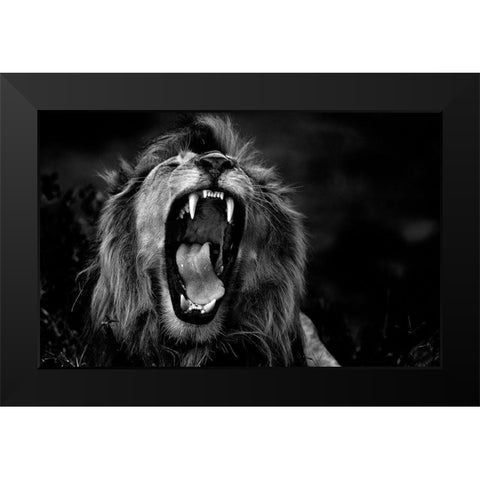 Untitled Black Modern Wood Framed Art Print by Damico, Giuseppe