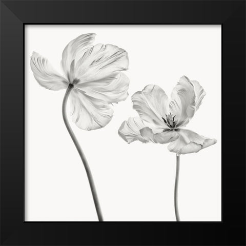 Same tulip front and backview Black Modern Wood Framed Art Print by Gronkjaer, Lotte