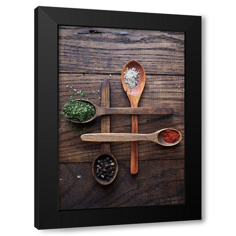 Spices Black Modern Wood Framed Art Print with Double Matting by Karina, Aleksandrova