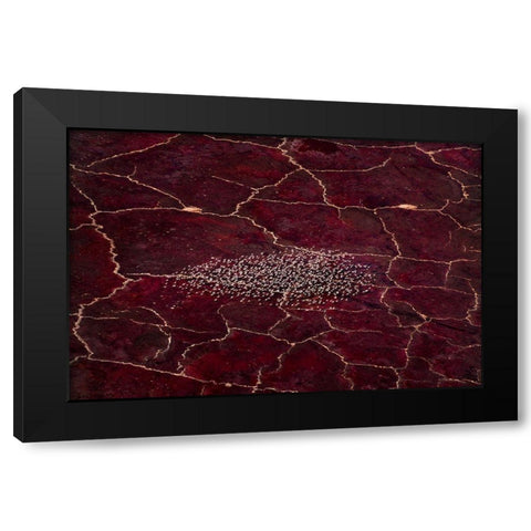 Red Planet Black Modern Wood Framed Art Print by Fan, John