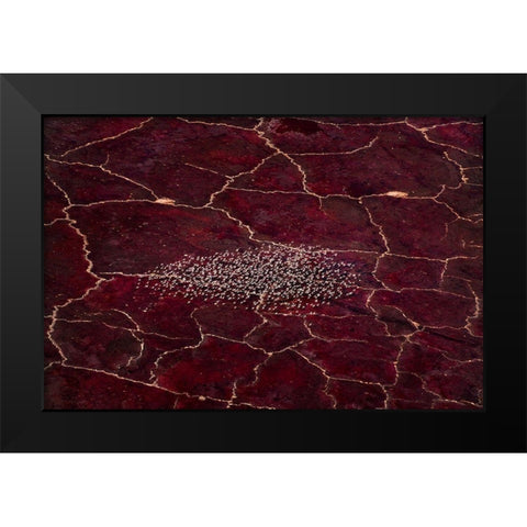 Red Planet Black Modern Wood Framed Art Print by Fan, John