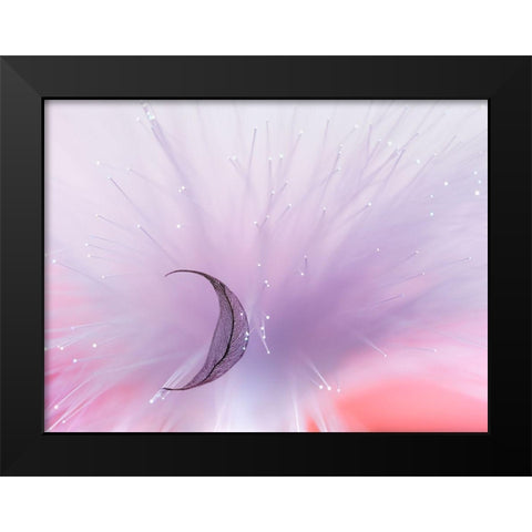 Untitled Black Modern Wood Framed Art Print by Selezenev, Konstantin