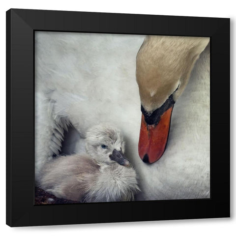 close to you Black Modern Wood Framed Art Print with Double Matting by Flour, Piet