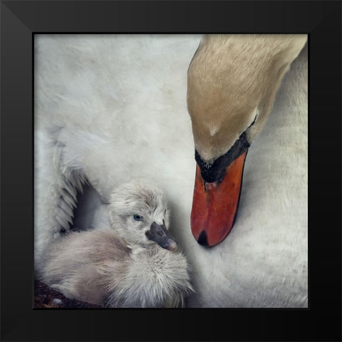 close to you Black Modern Wood Framed Art Print by Flour, Piet