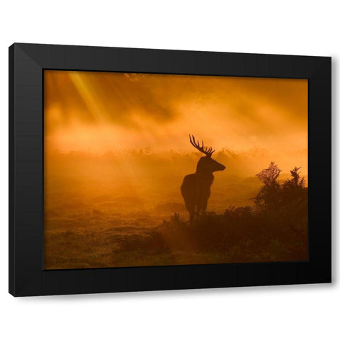 Guard Of Light Black Modern Wood Framed Art Print with Double Matting by Fabrowski, Robert