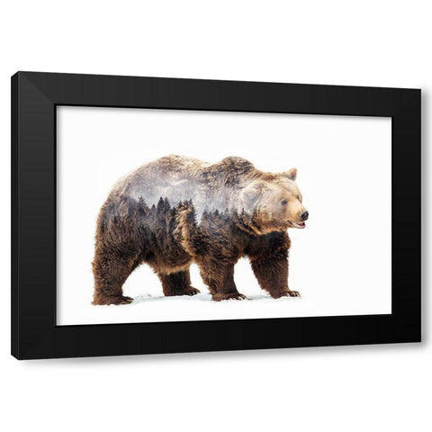 Bear Black Modern Wood Framed Art Print with Double Matting by Beata, Angyalosi
