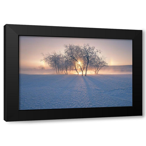 Swan Lake Black Modern Wood Framed Art Print by Z, Bingo