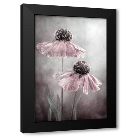 Duet Black Modern Wood Framed Art Print with Double Matting by Disher, Mandy