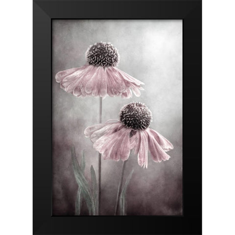 Duet Black Modern Wood Framed Art Print by Disher, Mandy