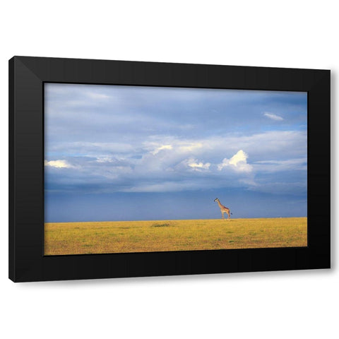 Colors of freedom Black Modern Wood Framed Art Print with Double Matting by Itoyama, Eiji