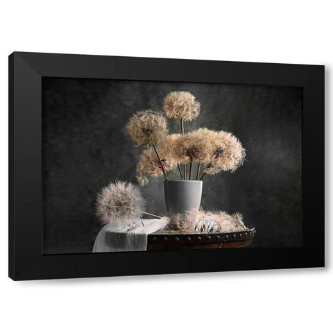 Dandelion Seed Pod Black Modern Wood Framed Art Print with Double Matting by Jacobs, Lydia
