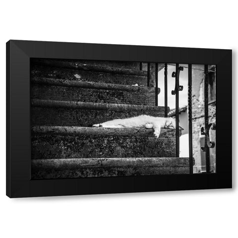 Slow life Black Modern Wood Framed Art Print with Double Matting by Polo, Piera
