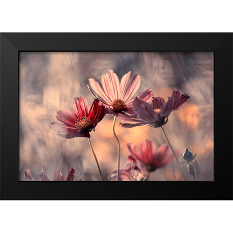 The three sisters Black Modern Wood Framed Art Print by Bravin, Fabien