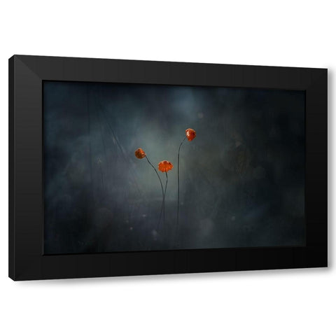 Little Mushrooms Black Modern Wood Framed Art Print with Double Matting by Gapur Dayak, Abdul