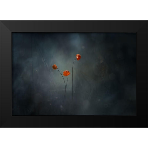 Little Mushrooms Black Modern Wood Framed Art Print by Gapur Dayak, Abdul