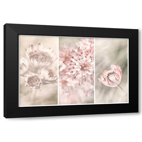 Untitled Black Modern Wood Framed Art Print by Davidsson, Gustav