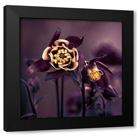 Priviliged Black Modern Wood Framed Art Print by Kiral, Cicek