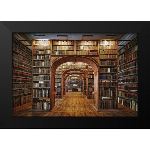 Upper Lausitzian Library of Sciences Black Modern Wood Framed Art Print by Aurednik, Patrick