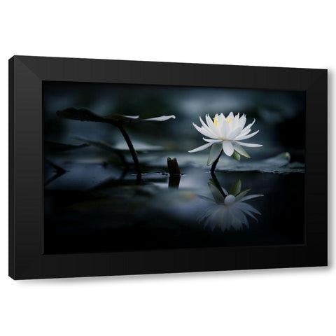 Reflection Black Modern Wood Framed Art Print by Suzuki, Takashi