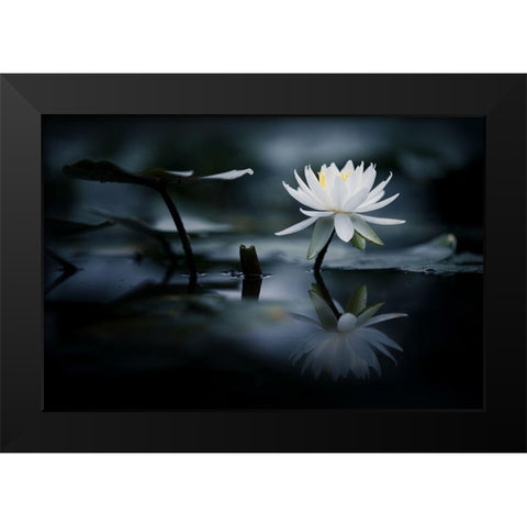 Reflection Black Modern Wood Framed Art Print by Suzuki, Takashi