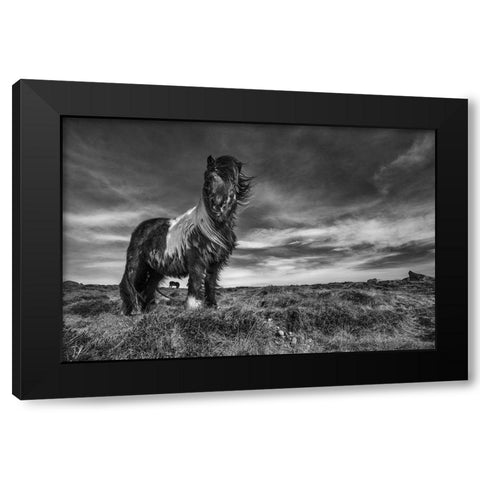 Two of a kind Black Modern Wood Framed Art Print with Double Matting by Ingibergsson, Bragi