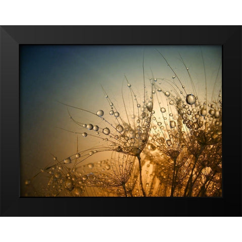 Tender is the Night Black Modern Wood Framed Art Print by Lazarov, Dimitar
