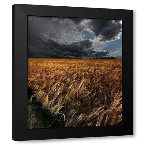 Strohgaeu Black Modern Wood Framed Art Print by Schumacher, Nicolas