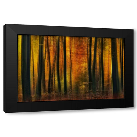 Autumn falls Black Modern Wood Framed Art Print by Paul Kraaij, Jan