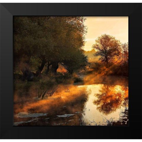 When nature paints with light I Black Modern Wood Framed Art Print by Oliver, Leicher