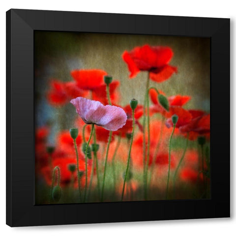 One Black Modern Wood Framed Art Print by Worner, Anne