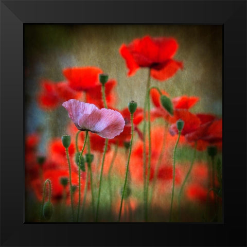 One Black Modern Wood Framed Art Print by Worner, Anne