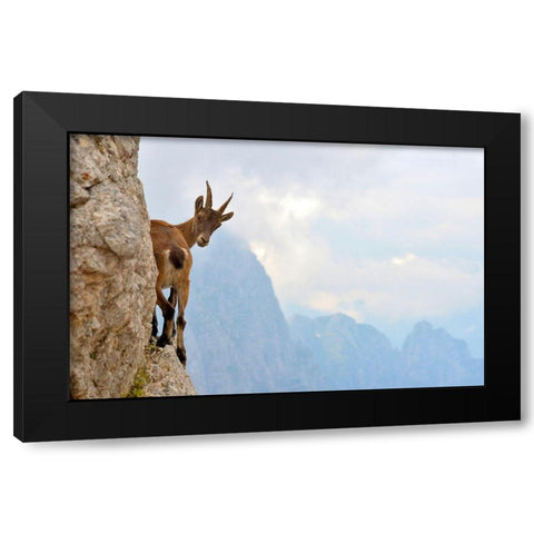 Suspense Black Modern Wood Framed Art Print with Double Matting by Zocca, Stefano