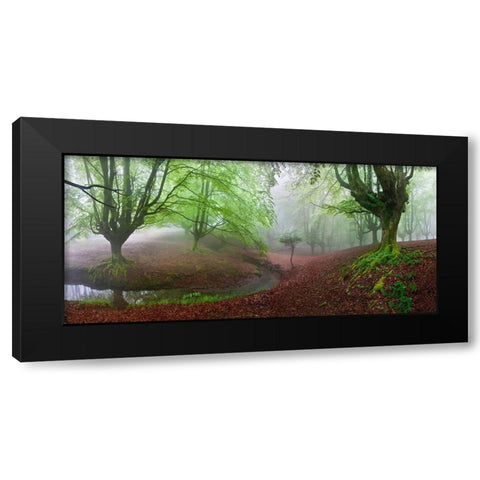 The FOREST MARAVILLADOR III Black Modern Wood Framed Art Print by Pixelecta, Juan