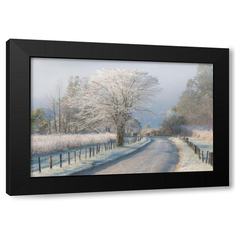 A Frosty Morning Black Modern Wood Framed Art Print with Double Matting by Moore, Chris