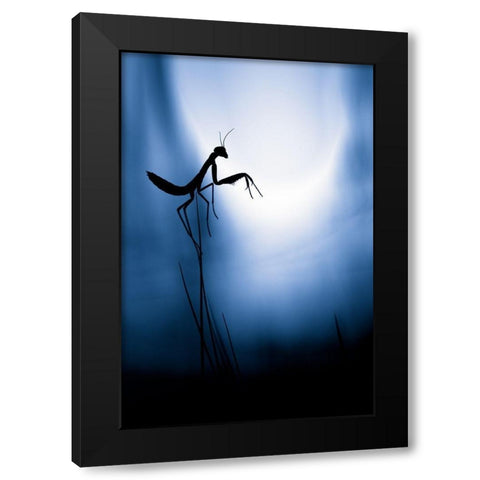 Last Night On Earth Black Modern Wood Framed Art Print with Double Matting by Bravin, Fabien