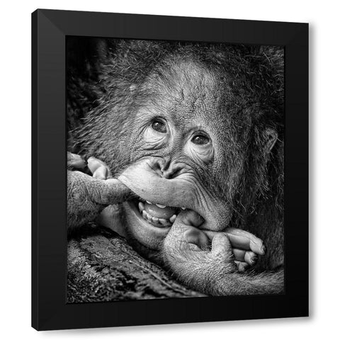 Big Smile please Black Modern Wood Framed Art Print by Muliani Hartojo, Angela