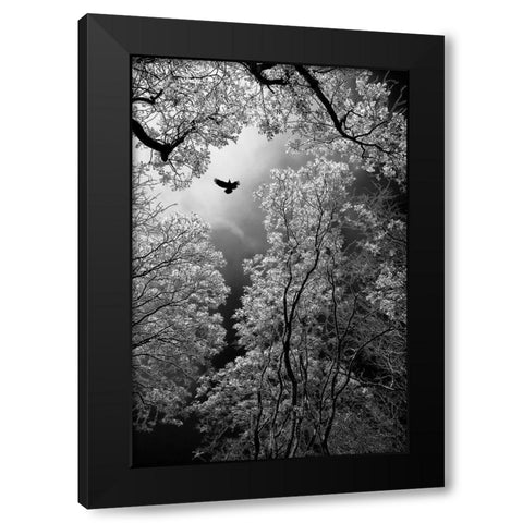 Flight Black Modern Wood Framed Art Print with Double Matting by Stamenkovic, Goran