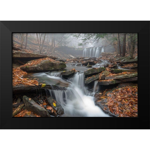 Morning Fog Black Modern Wood Framed Art Print by Kalathas, Nick