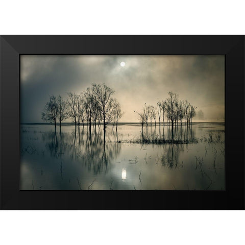 Lakes Secret Black Modern Wood Framed Art Print by Joanne_Flj