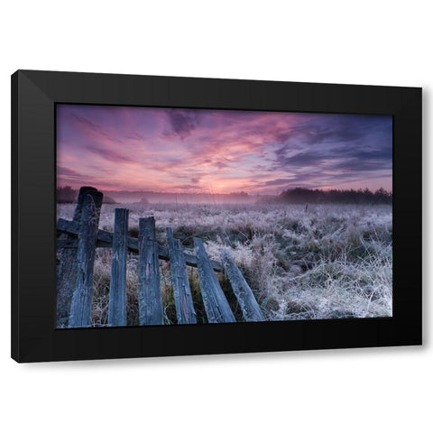 Dawn of Bialowieza Meadows Black Modern Wood Framed Art Print with Double Matting by Lorant, Krzysztof