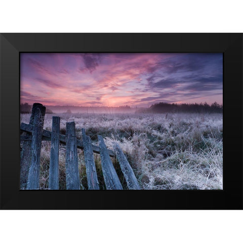 Dawn of Bialowieza Meadows Black Modern Wood Framed Art Print by Lorant, Krzysztof