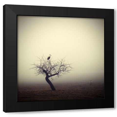 Meeting in the morning Black Modern Wood Framed Art Print by Droste, Holger