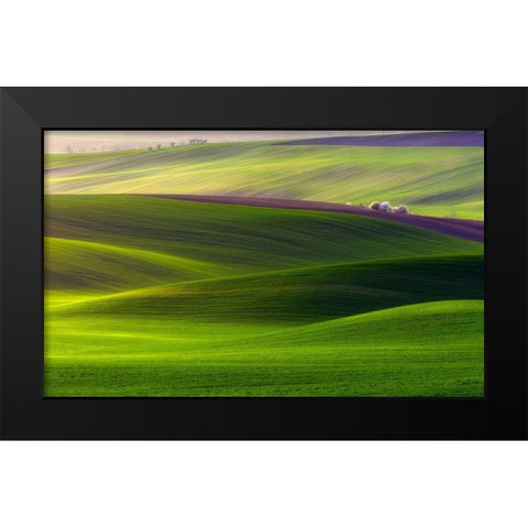 Verdant land Black Modern Wood Framed Art Print by Krol (Bax), Piotr