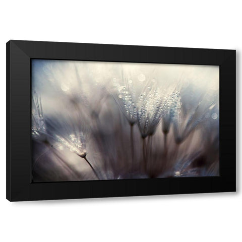 The forest Black Modern Wood Framed Art Print with Double Matting by Dam, Thomas