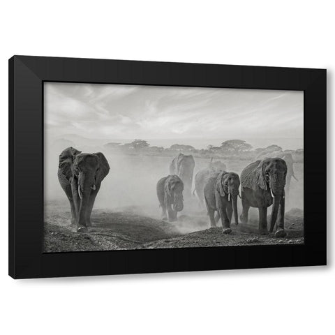 Sequence of emotion Black Modern Wood Framed Art Print with Double Matting by Guillemot, Mathilde