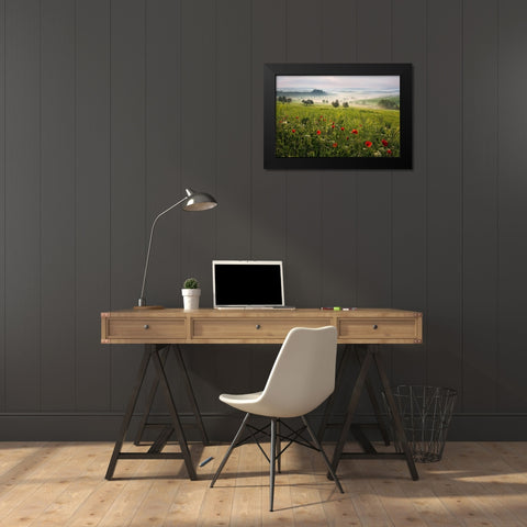 Tuscan spring Black Modern Wood Framed Art Print by Rericha, Daniel