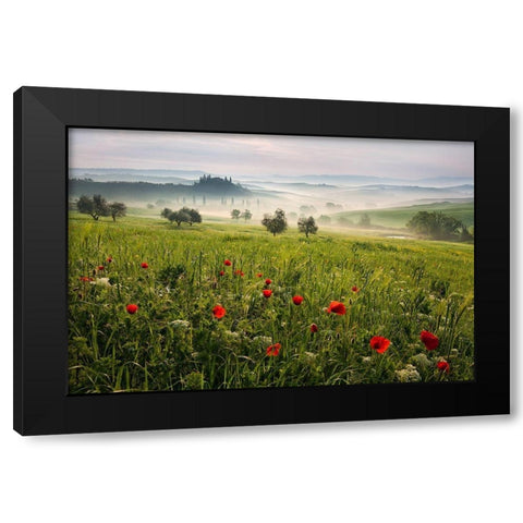 Tuscan spring Black Modern Wood Framed Art Print with Double Matting by Rericha, Daniel