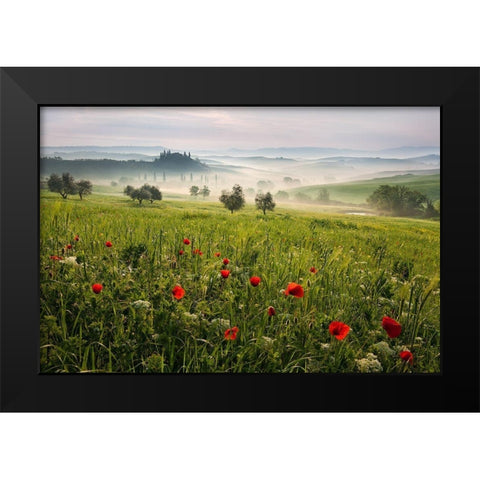 Tuscan spring Black Modern Wood Framed Art Print by Rericha, Daniel