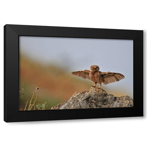 I can fly Black Modern Wood Framed Art Print with Double Matting by Amer, Muayad